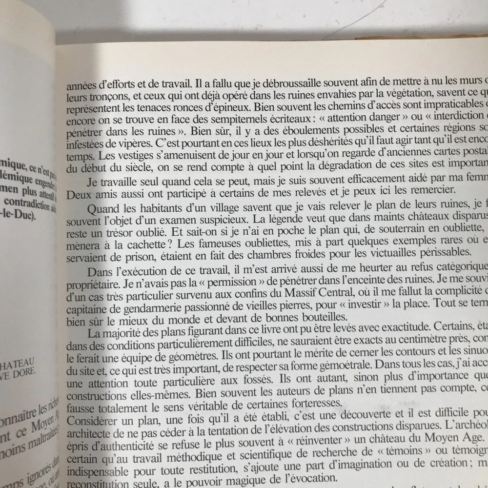 La France medievale romantisme et renouveau French History Architecture 1988 DJ